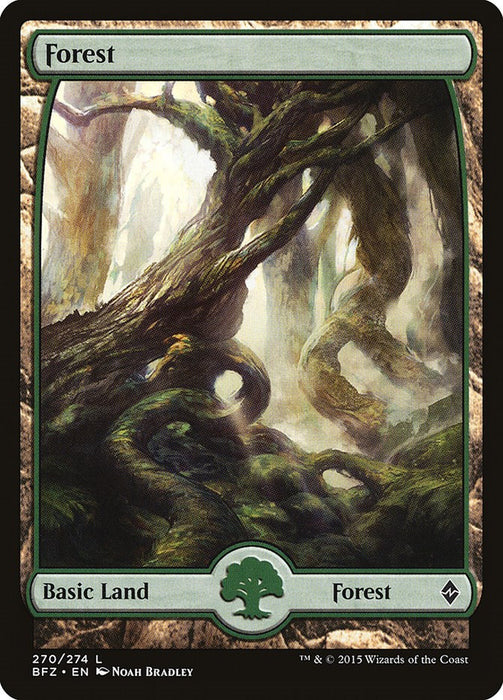 Forest (270) - Full Art [BFZ - 270]