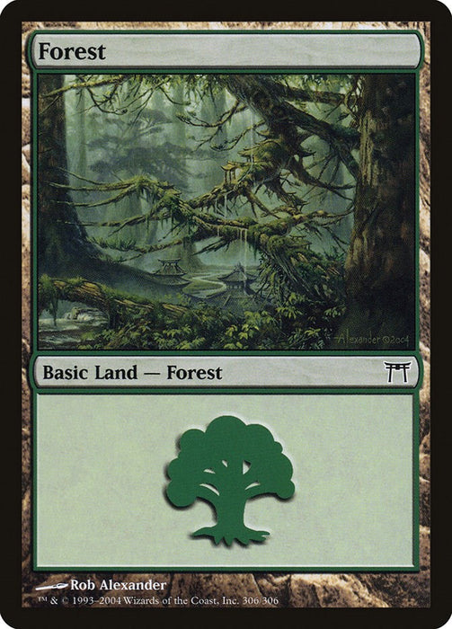 Forest (306)