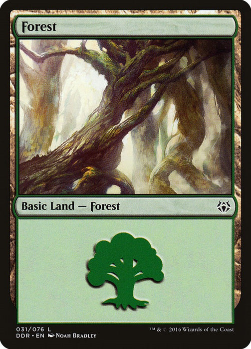 Forest (031)