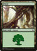 Forest (031)