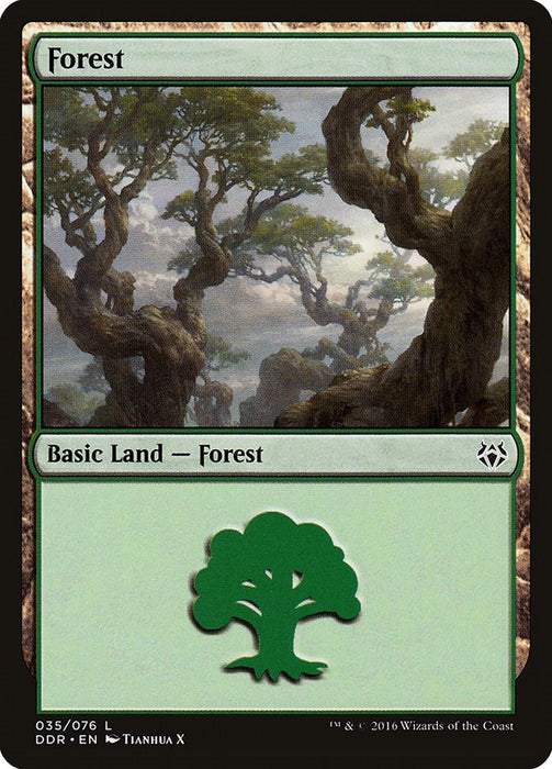 Forest (035)