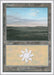 Plains (343)