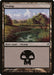 Swamp (290)
