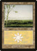 Plains (331)