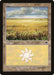 Plains (332)