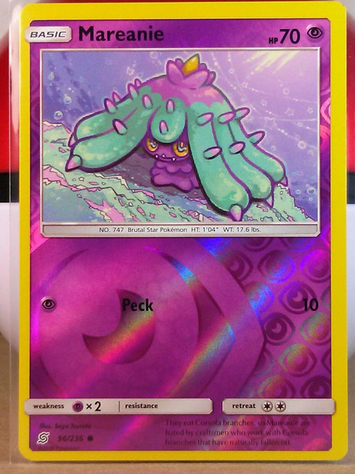 Mareanie
