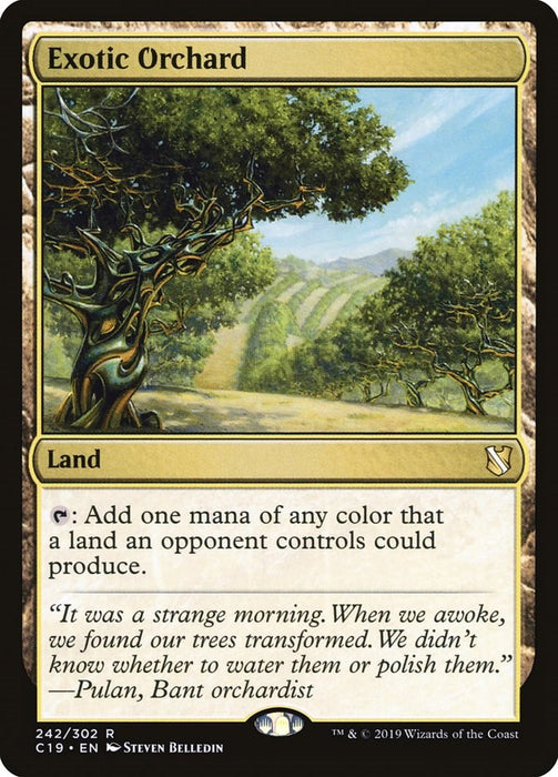 Exotic Orchard [C19 - 242]