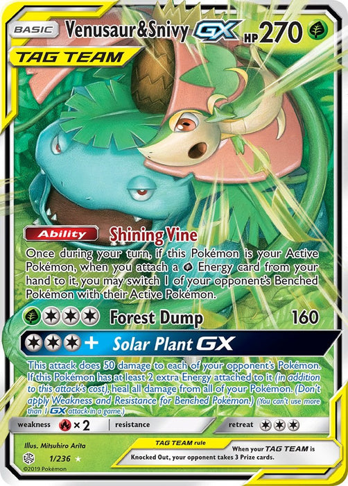 Venusaur & Snivy GX [SM12 - 1/236]