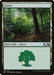 Forest (273)