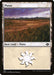 Plains (482)