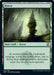 Forest (280)