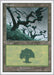 Forest (331)
