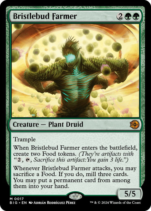 Bristlebud Farmer [BIG - 17]