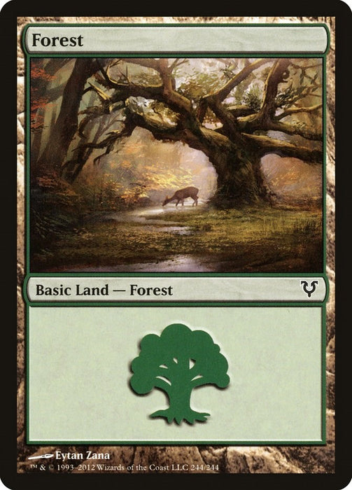 Forest (244)