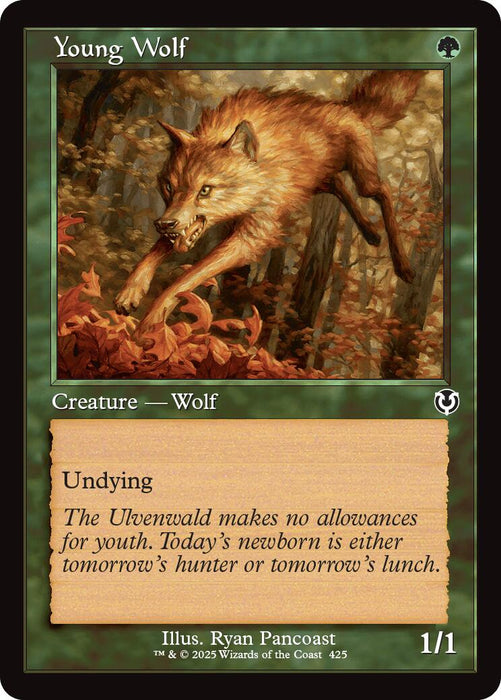 Young Wolf (Retro Frame)
