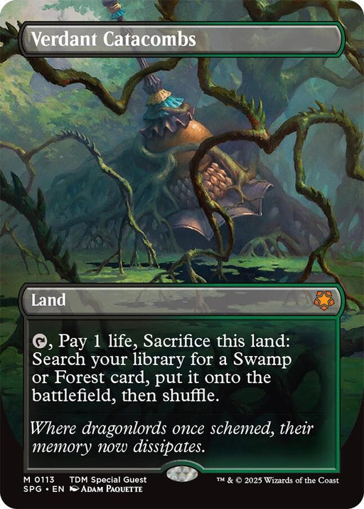 Verdant Catacombs (Borderless)