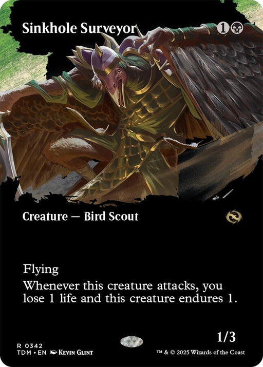 Sinkhole Surveyor (Borderless)