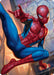 Sensational Spider-Man Art Card