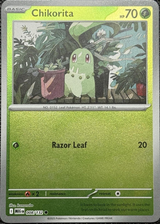 Chikorita