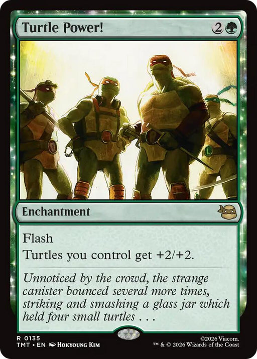 Turtle Power!