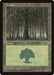 Forest (Large Middle)
