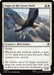 Eagle of the Great Shelf
