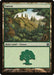 Forest (246)