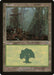 Forest (350)