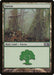 Forest (246)