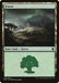 Forest (263)