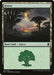 Forest (264)