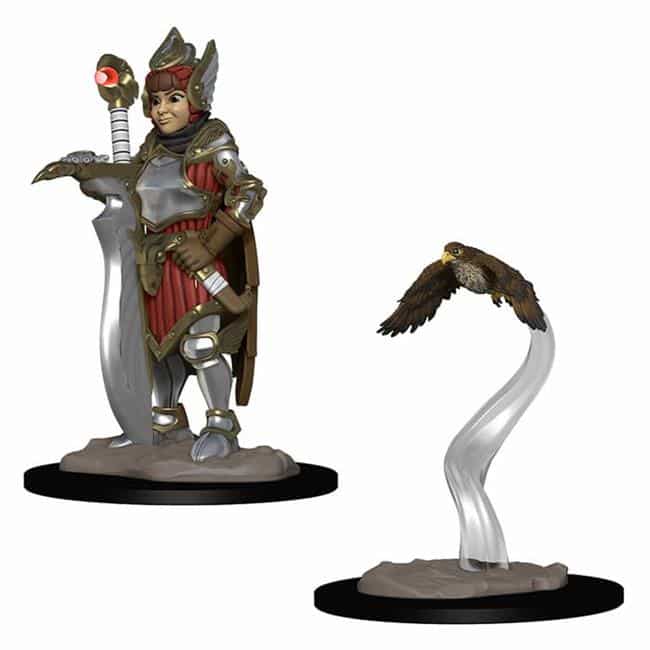 D&D Wardlings: Girl Fighter & Hunting Falcon