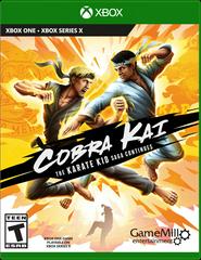 Cobra Kai: The Karate Kid Saga Continues - Xbox One