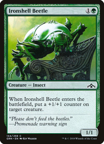 Ironshell Beetle [Guilds of Ravnica]