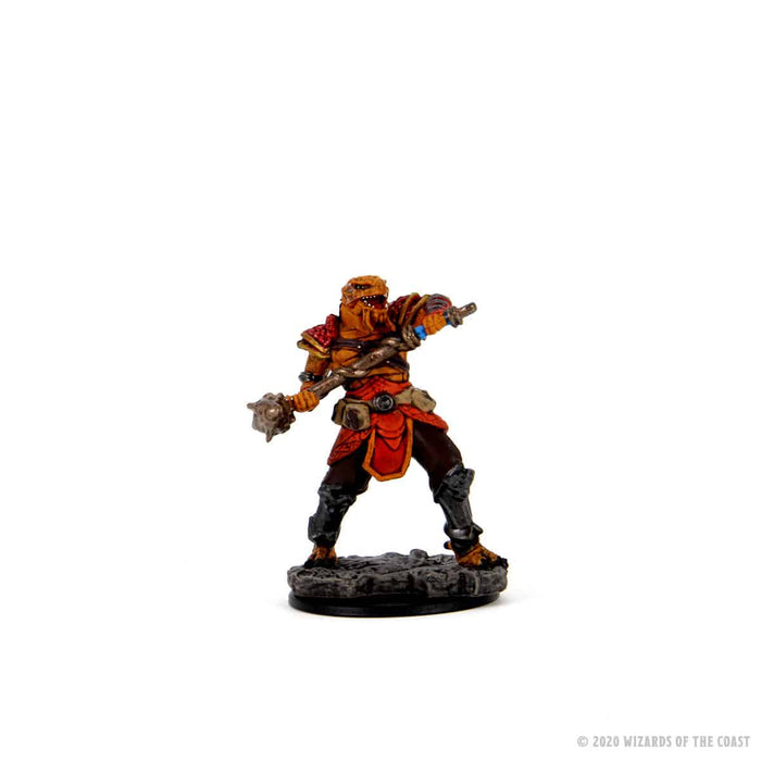 D&D Character - Male Dragonborn Fighter - Premium Miniature