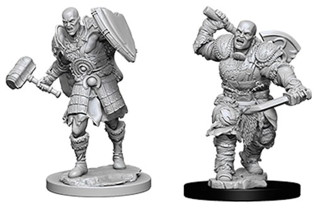 D&D Character - Male Goliath Fighter