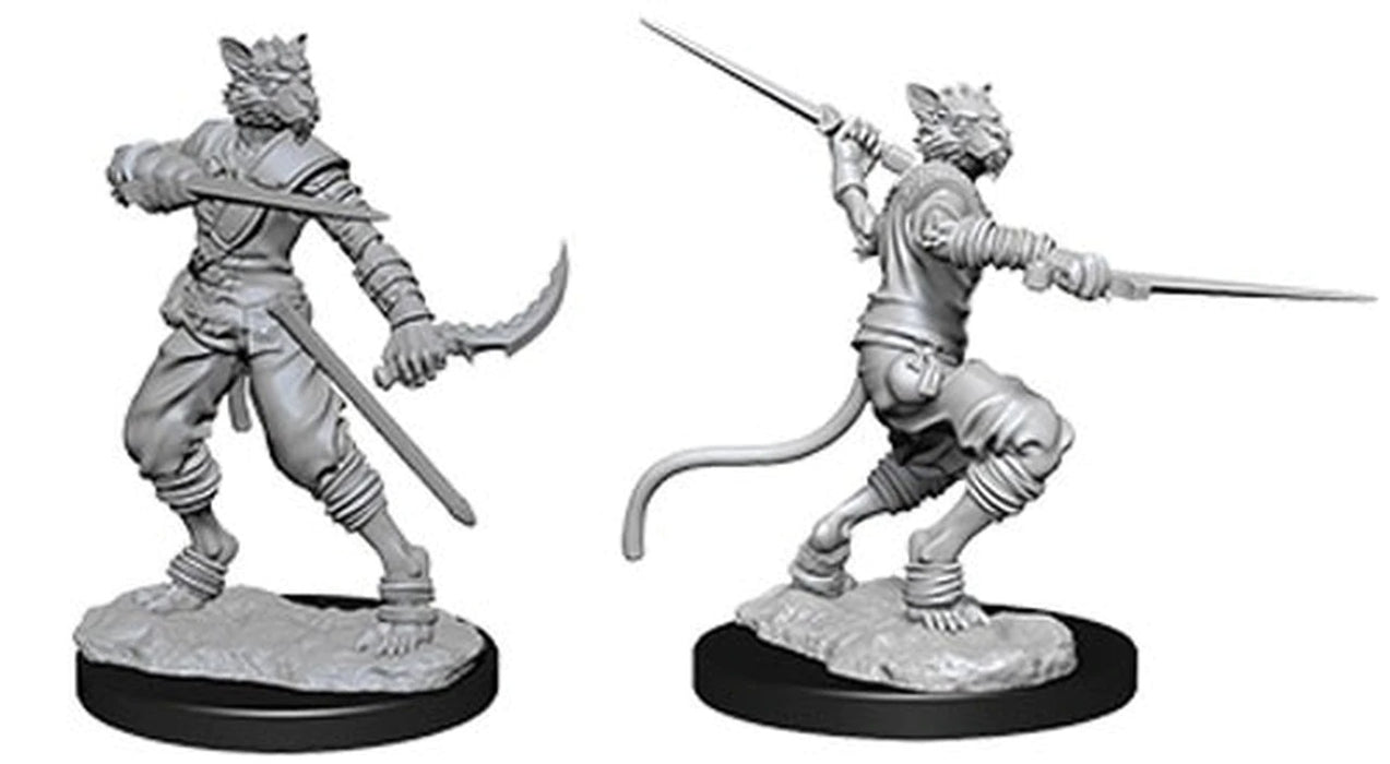 D&D Character - Male Tabaxi Rogue