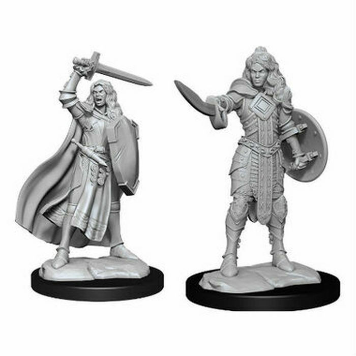 D&D Character - Female Human Champion