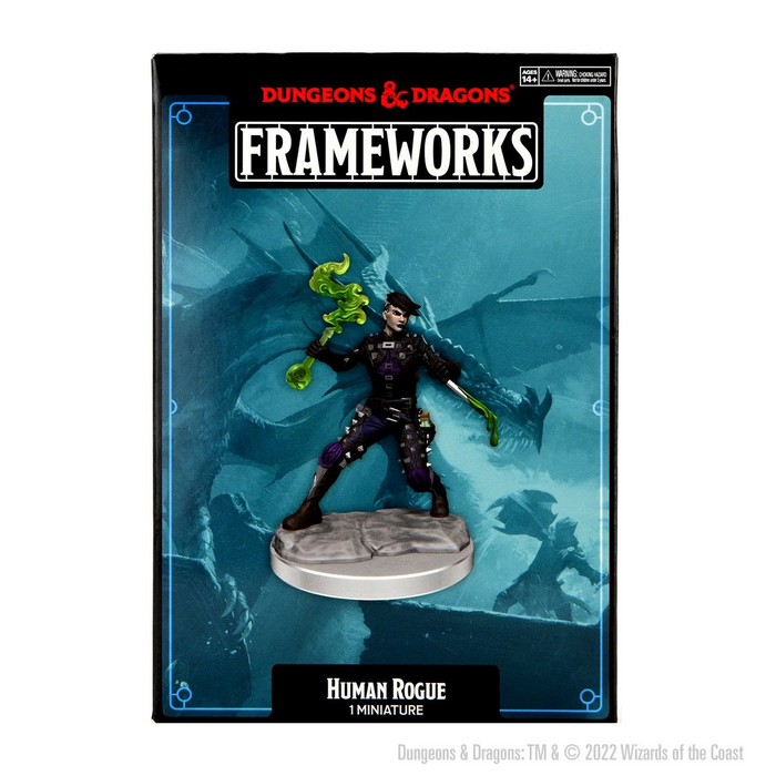 D&D: Frameworks: Wave 1- Human Rogue Female